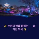 야간도심테마 | 수원 일월수목원 &amp; 영흥수목원 야간개장 방문 꿀팁 &amp; 주변 명소
