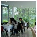 핑크하우스 이미지