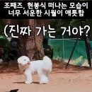 또또 💕이어지는 별빛 선행에 감동 ✨️ ❤️+댓글 🙏 이미지