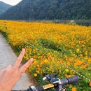 도담삼봉 자전거길 | [충북단양] 아이와 함께 전기자전거 전동퀵보드 대여해서 남한강 자전거길 달려보기_단양타유