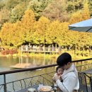 가을 숲으로 놀러가자 | [경기/광주]가을 단풍명소 &#39;화담숲&#39; 8개월 아기랑 나들이(입장권 예매/모노레일/주차/유모차/파전주막...