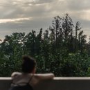 의귀소담 이미지