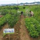 정수민박 이미지