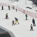 지산리조트(주) | 지산리조트 초등 아이 스키강습 초급 1일차 준비물 내돈내산 후기