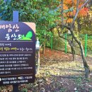 매암산 등산로 이미지