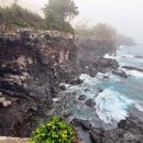 신례2리(공천포) 1 이미지