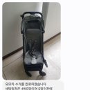 꼬꼬마망 이미지