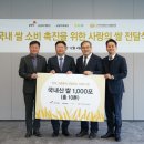 삼일 이미지
