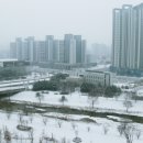 크리스마스이브