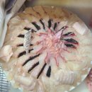 현해탄수산 이미지