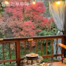 임초리부뚜막 네이버블로그