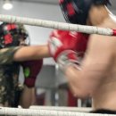 프뉴마 킥복싱, 태권도 이미지