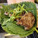 중앙카센타 | [송파] 문정법조타운 투플러스 한우 맛집 &#39;문정태백정육&#39; 문정역 단체 회식 추천 솔직후기