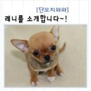 미소 이미지