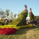 잔치마당 이미지