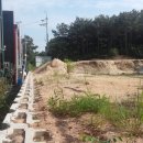 통일동산펜션 이미지