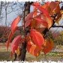 양재시민의숲 역 1번 출구 이미지