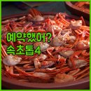 비룡5길 | 벌써 예약 전쟁터인 2025 속초 설악동 힙한 카페와 숙소 TOP 4