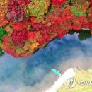 연리지미디어 이미지