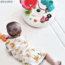 프리와이드 이미지