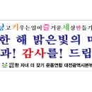 한자녀더갖기운동연합대전본부송년 이미지