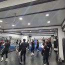 대성킴복싱클럽 이미지