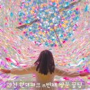 (주)동성원더파크 | 과천 원더파크 식당 주차 할인 꿀팁 대공개