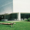 미메시스아트뮤지엄 이미지