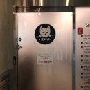 모찌네호캉스 이미지