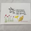 한국캘리그라피디자인센터 이미지