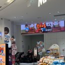 조커소프트 | 고양 스타필드 원더빌리지 후기｜돌아기랑 실내 가볼만한 곳