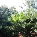 이화약국 이미지