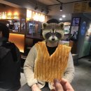 얼맥당 방학점 이미지