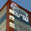 램랜드 | [마포/대흥맛집]양갈비와 전골이 아주아주 맛있는 마포램랜드