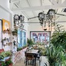 669 | 춘천 식물카페669 후기｜닭갈비거리에서 만난 치즈 고양이와 붕어빵 힐링카페