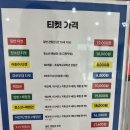 성남큐브미술관 | 성남 큐브 미술관 턴체 플뢰르 전시관람 후기