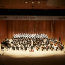 뽀꼬뽀꼬 이미지