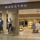 마에스트로 이미지