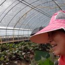 기순농장 이미지