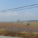 당진 승마장 이미지