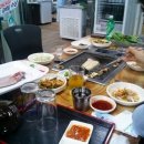 금강민물장어 이미지