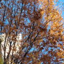 성주제일병원 | 출생신고서 열람 후기👼(+대구가정법원)