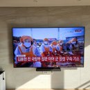 센트럴티비 이미지