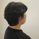 아코하롬헤어양주 이미지