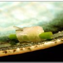 황금어장 이미지