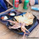 솔지카페 이미지