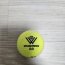 윙스골프존 | 다이아윙스 비거리 골프공 구매 후 G 핸디 내려간 후기