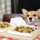 그냥,점례 이미지