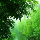 이바돔감자탕 이미지