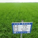 농촌진흥청 국립식량과학원 이미지